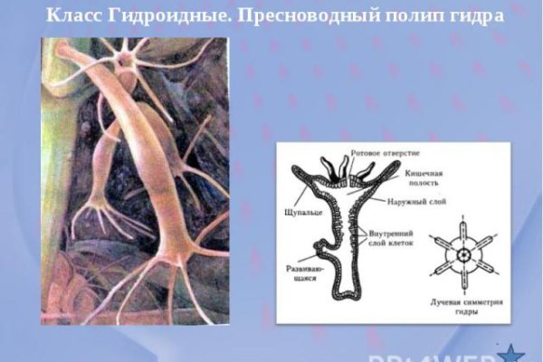 Где найти рабочую ссылку кракен