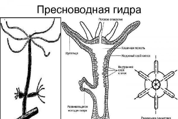 Kraken даркнет что это