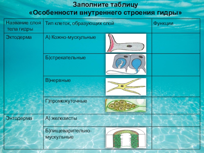 Кракен оригинальная ссылка для тор